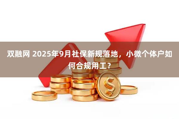 双融网 2025年9月社保新规落地，小微个体户如何合规用工？