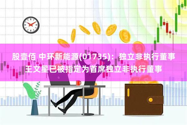 股壹佰 中环新能源(01735)：独立非执行董事王文星已被指定为首席独立非执行董事